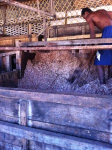 La fermentation  